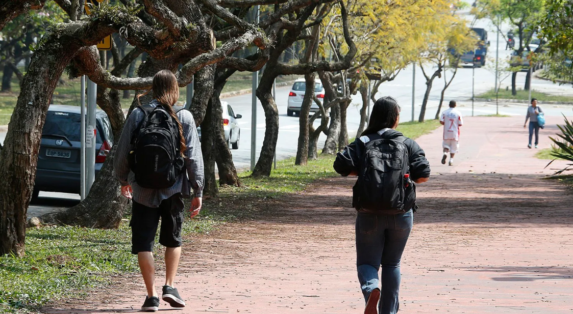 Escolas em Santos: 17 melhores instituições de ensino da cidade